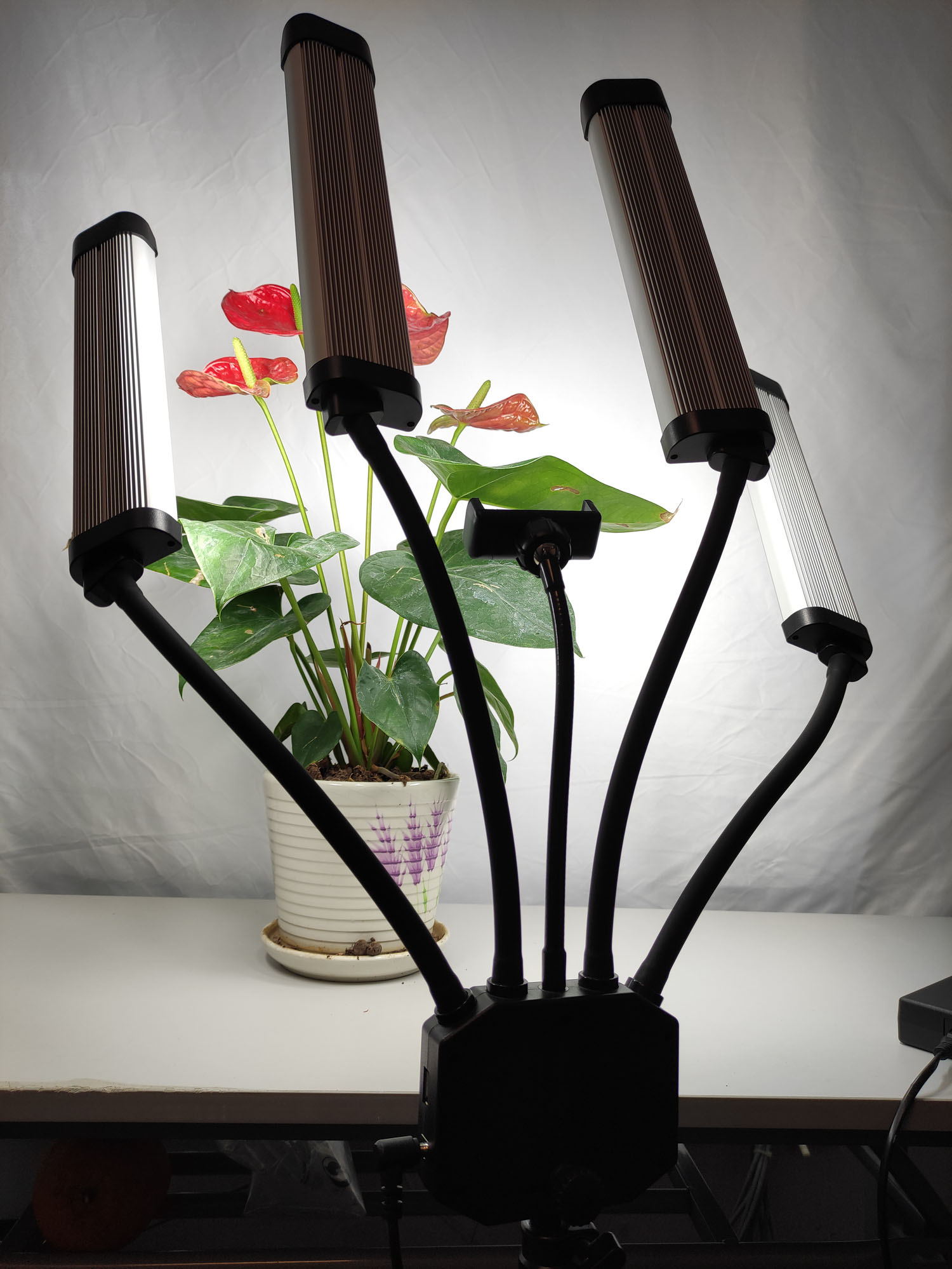 Zweifarbige Lampe 65W Professi – Beauty Makeup Video Bewertung und Preis
